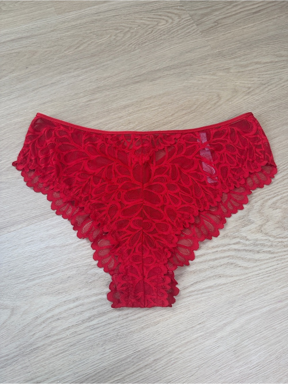 Savage x Fenty Lace Cheeky Panty 2X